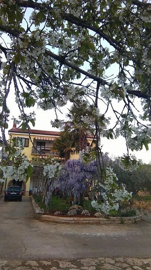 App Carla Apartment Novigrad  Novigrad (Istria)